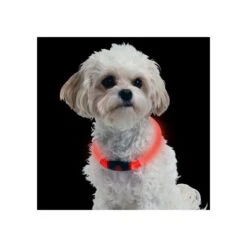 Nite Ize NiteHowl LED Safety Necklace -Hundebedarf Geschäft nite ize nitehowl led safety necklace 89505 0500 none
