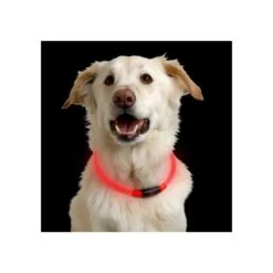 Nite Ize NiteHowl LED Safety Necklace -Hundebedarf Geschäft nite ize nitehowl led safety necklace 89526 0500 none