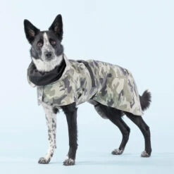PAIKKA Recovery Raincoat Camo -Hundebedarf Geschäft paikka recovery raincoat camo 217730 0500 none