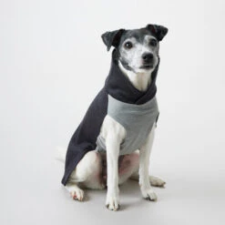 PAIKKA Recovery Winter Shirt -Hundebedarf Geschäft paikka recovery winter shirt 217786 0500 none