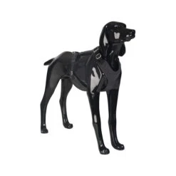 PAIKKA Visibility Harness 13 PAIKKA Visibility Harness -Hundebedarf Geschäft paikka visibility harness 217815 0500 none