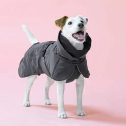 PAIKKA Visibility Winter Jacket -Hundebedarf Geschäft paikka visibility winter jacket 217796 0500 none