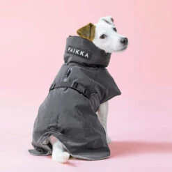 PAIKKA Visibility Winter Jacket -Hundebedarf Geschäft paikka visibility winter jacket 217797 0500 none