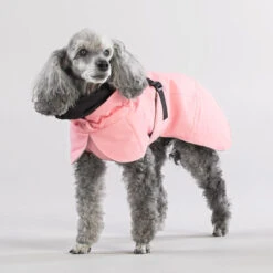 PAIKKA Visibility Winter Jacket -Hundebedarf Geschäft paikka visibility winter jacket 217799 0500 none