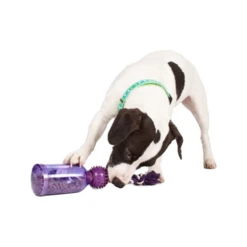 PetSafe Tug-a-Jug -Hundebedarf Geschäft petsafe tug a jug 216335 0500 none