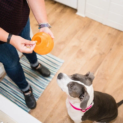 Planet Dog Orbee-Tuff Snoop – Bild 5