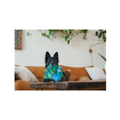 P.L.A.Y. Fetching Flock - Peacock 5 P.L.A.Y. Fetching Flock - Peacock -Hundebedarf Geschäft play fetching flock peacock 182614 0500 none