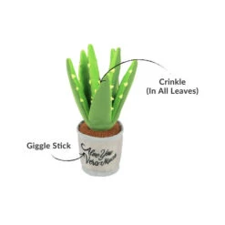 P.L.A.Y. Pet Blooming Buddies - Aloe-ve You Plant -Hundebedarf Geschäft play pet blooming buddies aloe ve you plant 187724 0500 none
