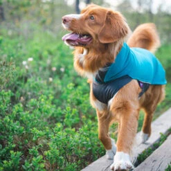 Pomppa Jumppa -Hundebedarf Geschäft pomppa jumppa 190573 0500 none