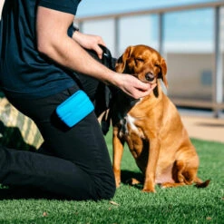 Popware Pooch Pouch Treatbag -Hundebedarf Geschäft popware pooch pouch treatbag 164698 0500 none