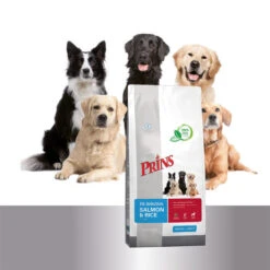 Prins Fit Selection Salmon & Rice 9 Prins Fit Selection Salmon & Rice -Hundebedarf Geschäft prins fit selection salmon rice 171115 0500 none