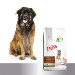 Prins ProCare Croque Lamb & Rice Hypoallergic -Hundebedarf Geschäft prins procare croque lamb rice hypoallergic 171316 0500 none