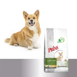 Prins ProCare Croque Lamb & Rice Senior Hypoallergic -Hundebedarf Geschäft prins procare croque lamb rice senior hypoallergic 171337 0500 none