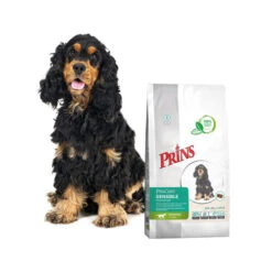 Prins ProCare Grainfree Sensible Hypoallergic -Hundebedarf Geschäft prins procare grainfree sensible hypoallergic 171538 0500 none