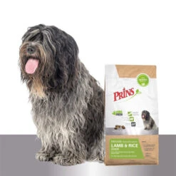 Prins ProCare Lamb & Rice Senior Hypoallergenic -Hundebedarf Geschäft prins procare lamb rice senior hypoallergenic 171712 0500 none