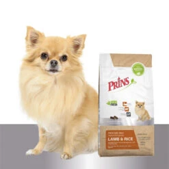 Prins ProCare Mini Lamb & Rice Hypoallergenic -Hundebedarf Geschäft prins procare mini lamb rice hypoallergenic 171730 0500 none