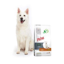 Prins ProCare Protection Lamm Hypoallergic -Hundebedarf Geschäft prins procare protection lam hypoallergic 171823 0500 none