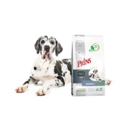 Prins ProCare Protection Senior Fit -Hundebedarf Geschäft prins procare protection senior fit 171865 0500 none