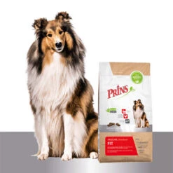 Prins ProCare Standard Fit -Hundebedarf Geschäft prins procare standard fit 171673 0500 none