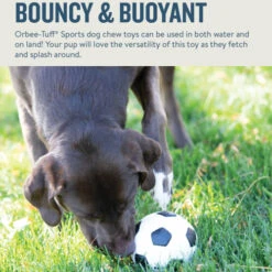 Planet Dog Orbee-Tuff Soccer Ball -Hundebedarf Geschäft prod 14590 203615 0500 none