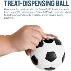 Planet Dog Orbee-Tuff Soccer Ball -Hundebedarf Geschäft prod 14590 203618 0500 none