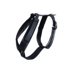 Kentucky Dog Harness Active Velvet -Hundebedarf Geschäft prod 15744 218993 0500 none
