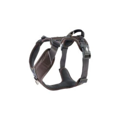 DOG Copenhagen Comfort Walk Pro Geschirr -Hundebedarf Geschäft prod 15938 220292 0500 none