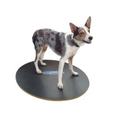 FitPAWS Wobble Board -Hundebedarf Geschäft product fitpaws wobble board none 4 1471260307 76246