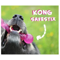 KONG Safestix -Hundebedarf Geschäft product kong safestix none 4 1458633926 66969