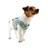 Lief! Boys Hundegeschirr -Hundebedarf Geschäft product lief boys hondenharnas none 4 1497015028 87178