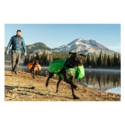 Ruffwear Approach Pack -Hundebedarf Geschäft product ruffwear approach pack none 4 1489677652 84736