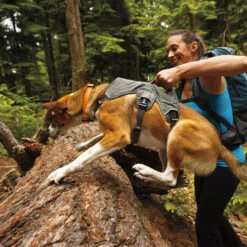 Ruffwear Webmaster Harness -Hundebedarf Geschäft product ruffwear webmaster harness none 4 1471947180 76768