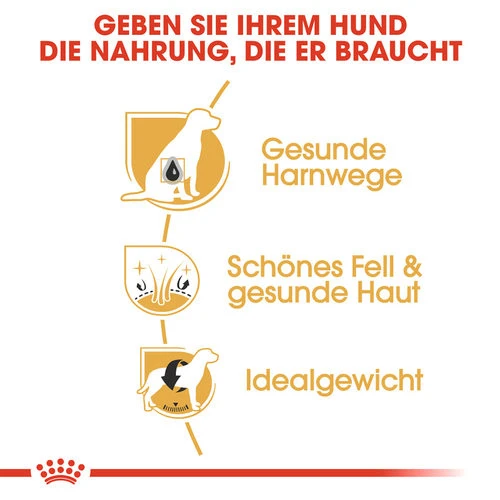 Royal Canin Bichon Frisé Adult - Hundefutter 5 Royal Canin Bichon Frisé Adult - Hundefutter – Bild 3