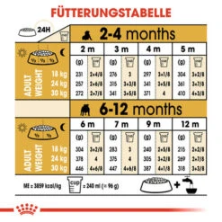 Royal Canin Bulldog Puppy - Hundefutter -Hundebedarf Geschäft royal canin bulldog puppy hondenvoer 137776 0500 none