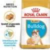 Royal Canin Bulldog Puppy - Hundefutter -Hundebedarf Geschäft royal canin bulldog puppy hondenvoer 137848 0500 none
