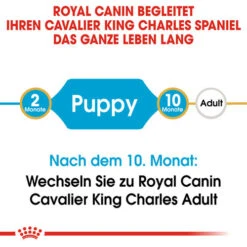 Royal Canin Cavalier King Charles Puppy - Hundefutter -Hundebedarf Geschäft royal canin cavalier king charles puppy hondenvoer 137905 0500 none
