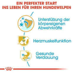 Royal Canin Cavalier King Charles Puppy - Hundefutter -Hundebedarf Geschäft royal canin cavalier king charles puppy hondenvoer 137923 0500 none