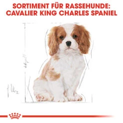 Royal Canin Cavalier King Charles Puppy - Hundefutter -Hundebedarf Geschäft royal canin cavalier king charles puppy hondenvoer 137932 0500 none