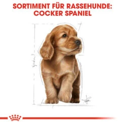 Royal Canin Cocker Puppy - Hundefutter -Hundebedarf Geschäft royal canin cocker puppy hondenvoer 138226 0500 none