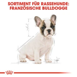 Royal Canin French Bulldog Puppy - Hundefutter -Hundebedarf Geschäft royal canin french bulldog puppy hondenvoer 138718 0500 none