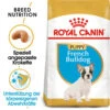 Royal Canin French Bulldog Puppy - Hundefutter -Hundebedarf Geschäft royal canin french bulldog puppy hondenvoer 140549 0500 none