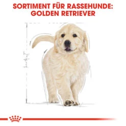 Royal Canin Golden Retriever Puppy - Hundefutter -Hundebedarf Geschäft royal canin golden retriever puppy hondenvoer 138958 0500 none