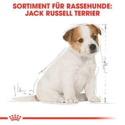 Royal Canin Jack Russell Terrier Puppy - Hundefutter -Hundebedarf Geschäft royal canin jack russell terrier puppy hondenvoer 139318 0500 none