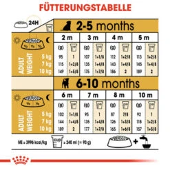 Royal Canin Jack Russell Terrier Puppy - Hundefutter -Hundebedarf Geschäft royal canin jack russell terrier puppy hondenvoer 139327 0500 none