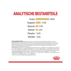 Royal Canin Labrador Retriever Adult 5+ -Hundebedarf Geschäft royal canin labrador retriever adult 5 165175 0500 none