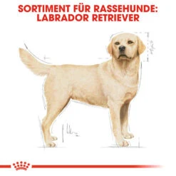 Royal Canin Labrador Retriever Adult - Hundefutter -Hundebedarf Geschäft royal canin labrador retriever adult hondenvoer 139351 0500 none