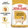 Royal Canin Labrador Retriever Adult - Hundefutter -Hundebedarf Geschäft royal canin labrador retriever adult hondenvoer 140606 0500 none