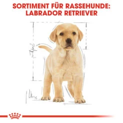 Royal Canin Labrador Retriever Puppy - Hundefutter -Hundebedarf Geschäft royal canin labrador retriever puppy hondenvoer 139438 0500 none