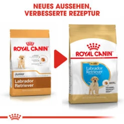 Royal Canin Labrador Retriever Puppy - Hundefutter -Hundebedarf Geschäft royal canin labrador retriever puppy hondenvoer 139456 0500 none
