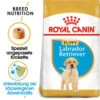 Royal Canin Labrador Retriever Puppy - Hundefutter -Hundebedarf Geschäft royal canin labrador retriever puppy hondenvoer 140618 0500 none